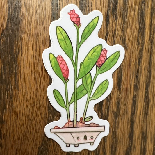 PotHead Plants Galangal Stickers - Die Cut