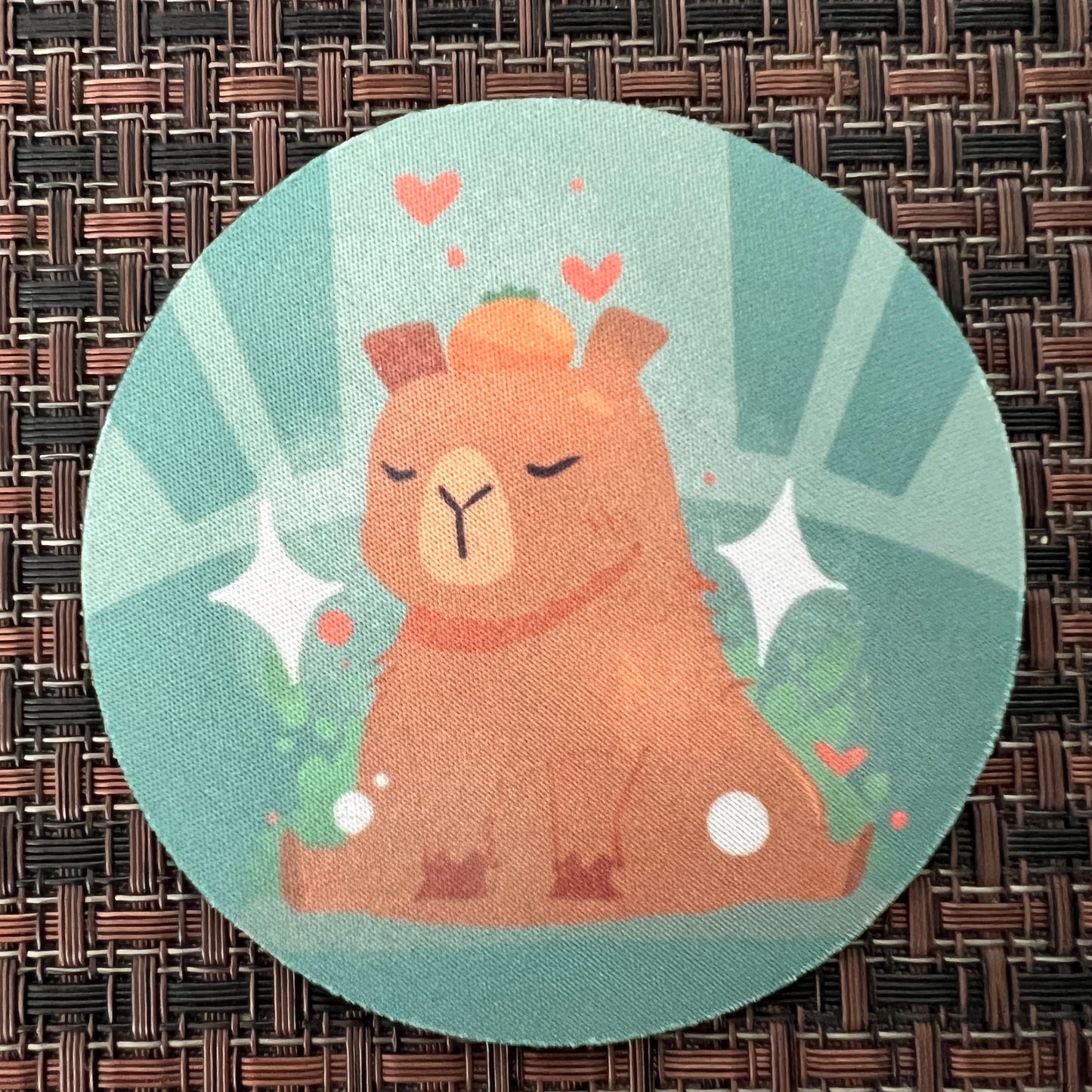 Cap'n Capybara Mediate Coaster #C012