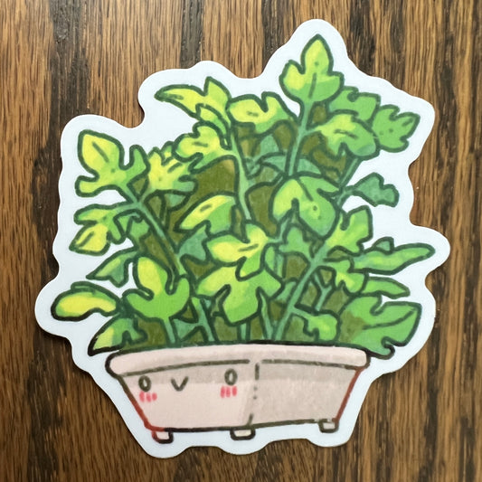PotHead Plants Coriander Stickers - Die Cut
