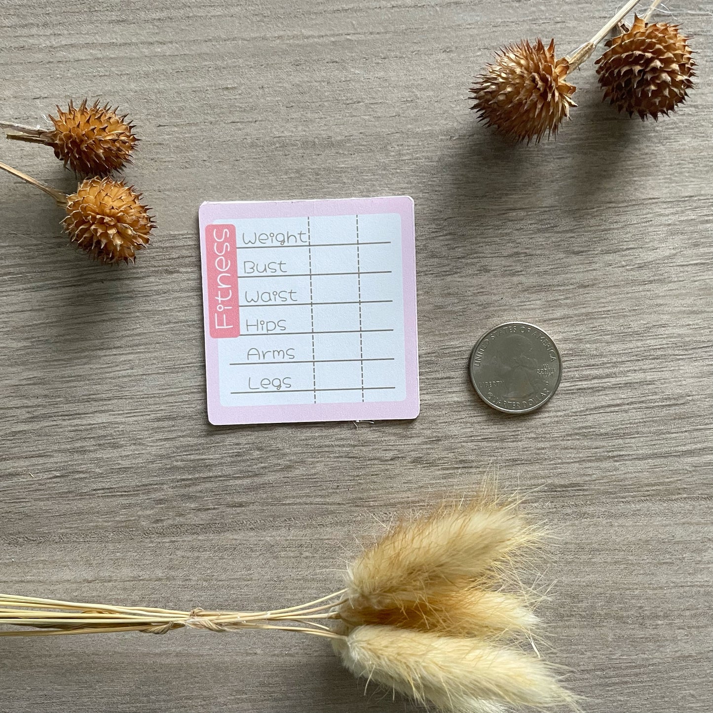 ZZZ Sakura Stickers SET - Die Cut